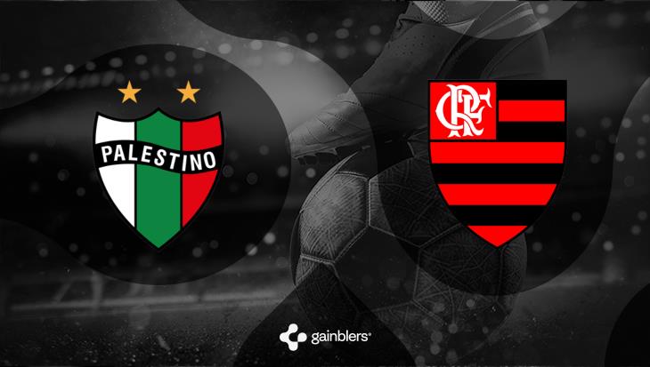 Pronóstico Palestino - Flamengo. Copa Libertadores | 08/05/2024